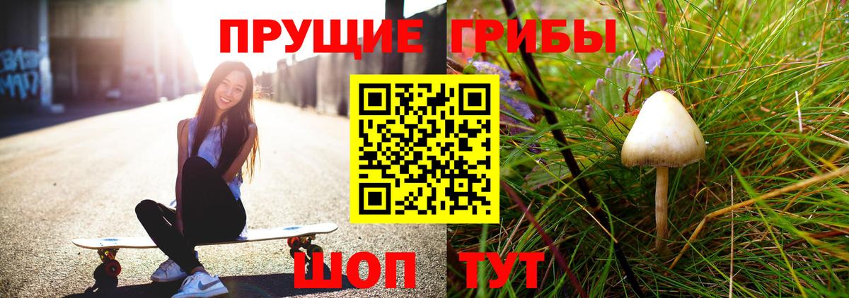 закладки  Галлюциногенные грибы Psilocybe  Вход с VPN  Истра 